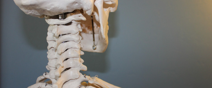 Správne držanie tela: Skúste týchto 5 účinných cvikov na spevnenie chrbta