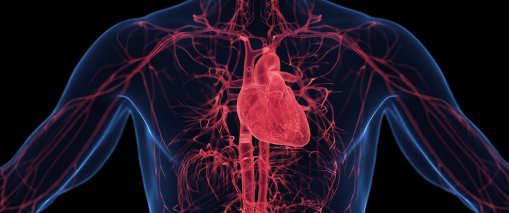 Myokarditída: Zápal srdcového svalu a jeho prejavy