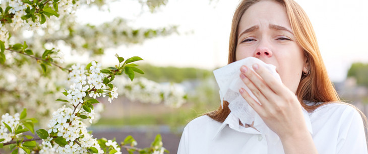 Alergia na peľ: Príznaky a liečba